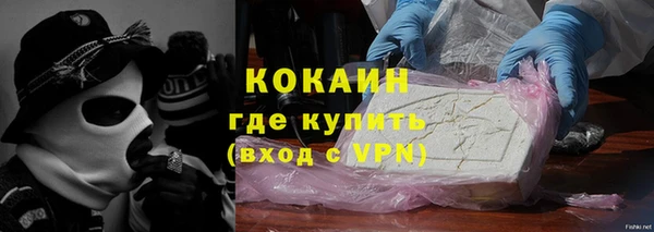 бошки Алексин