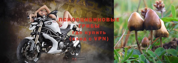 СК Алексеевка