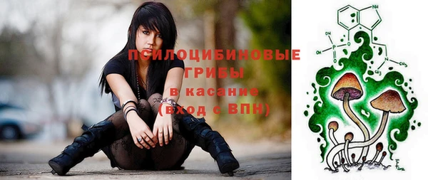соль курить ск Алзамай
